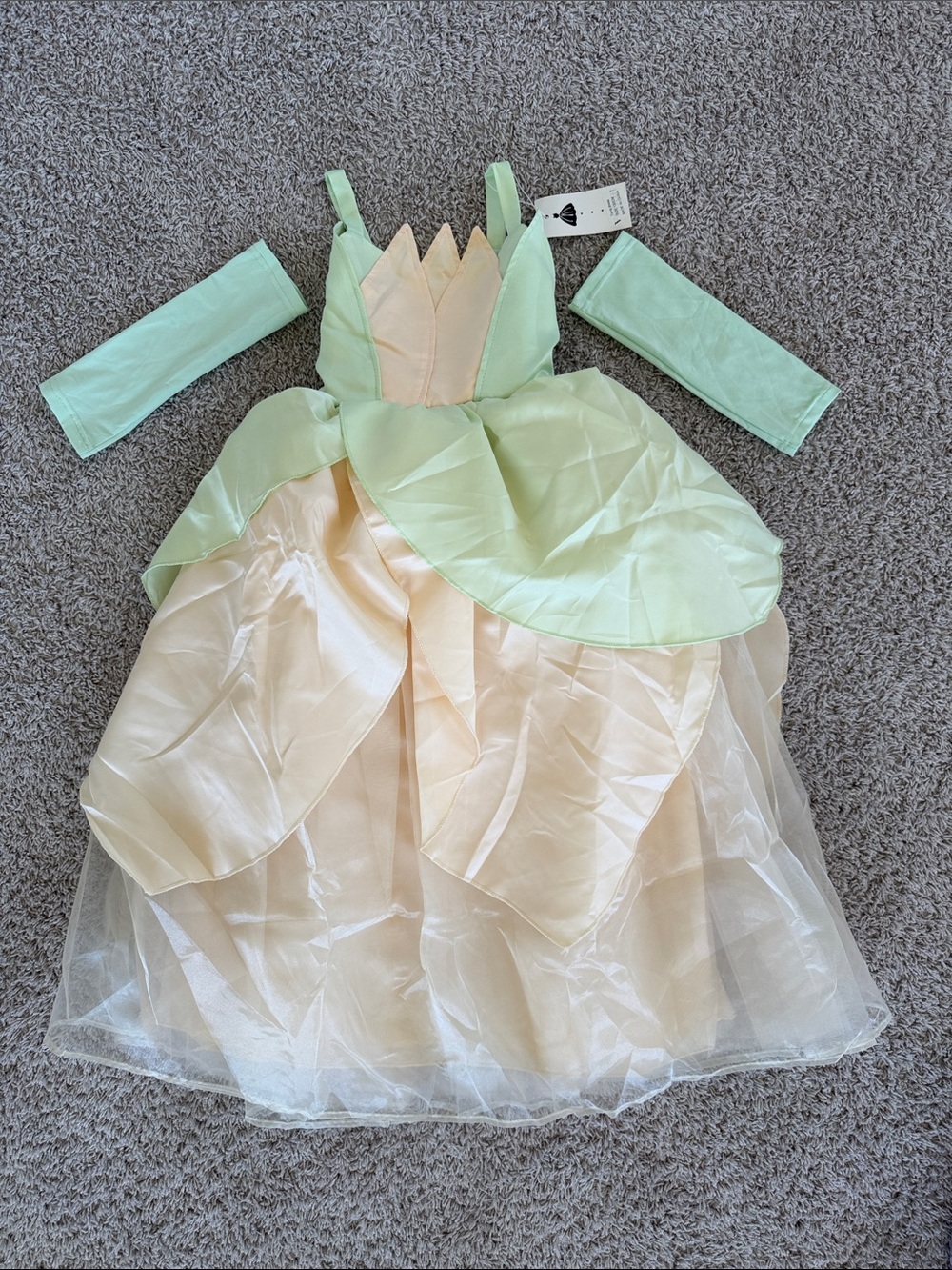 NWT: Tiana and Fairy Princess Costume Dress